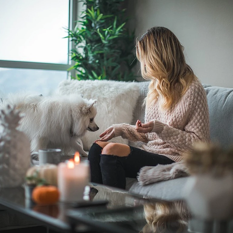 Bougie citronelle : un allié contre les moustiques et pour l'ambiance